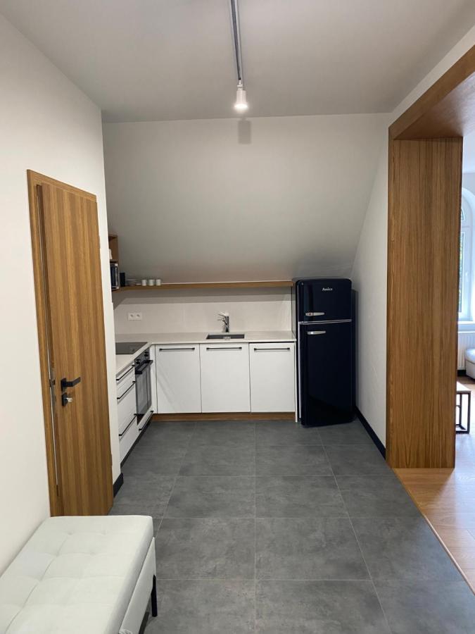 Apartamenty Przy Parku Szwedzkim Щавно-Здруй Екстериор снимка